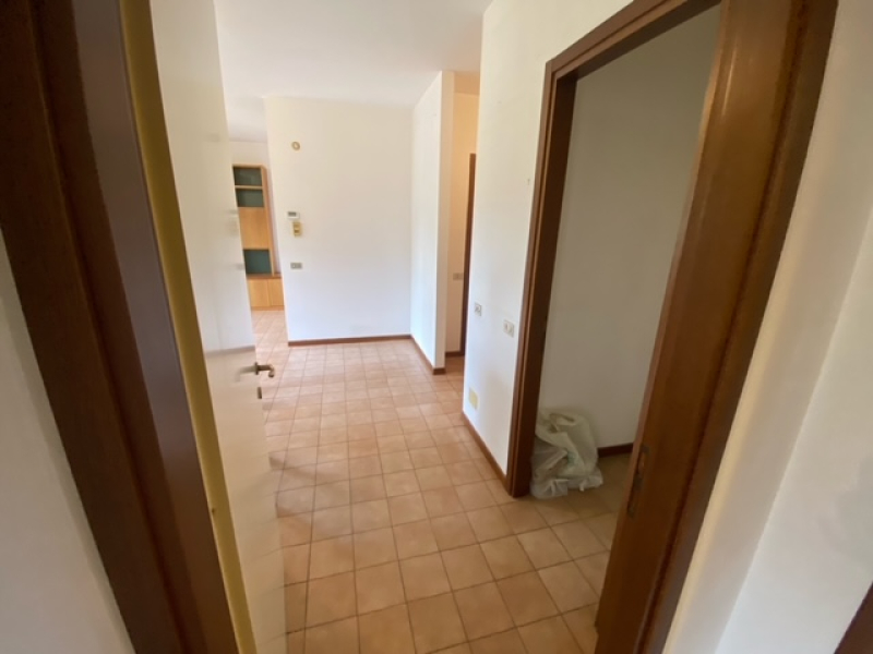 image4 (3).jpeg